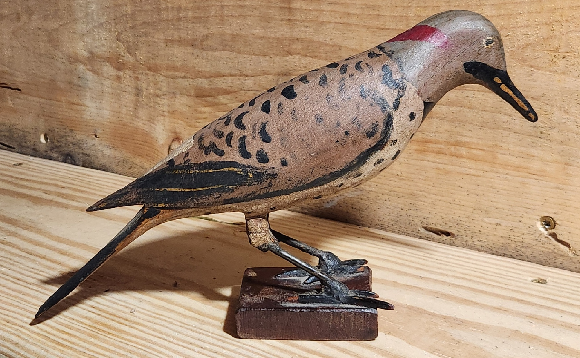 Superb PA Northern Flicker Carving